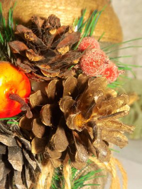 Koni (lat. Strobilus) değiştirilmiş bir çekim.