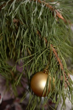 Merkez meydandaki Noel Ağacı