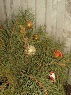 Merkez meydandaki Noel Ağacı