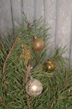 Merkez meydandaki Noel Ağacı