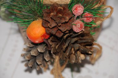 Koni (lat. Strobilus) değiştirilmiş bir çekim.