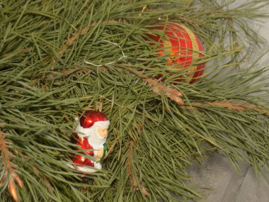 Merkez meydandaki Noel Ağacı