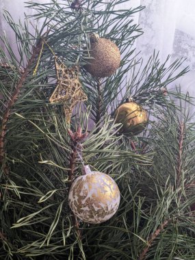 Merkez meydandaki Noel Ağacı