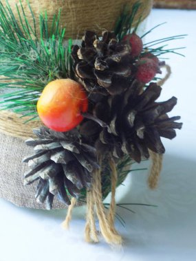 Koni (lat. Strobilus) değiştirilmiş bir çekim.