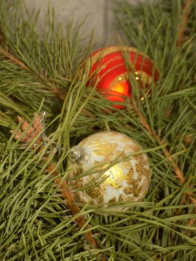 Merkez meydandaki Noel Ağacı