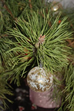 Merkez meydandaki Noel Ağacı