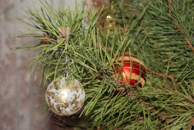 Merkez meydandaki Noel Ağacı