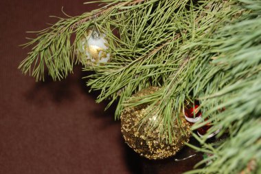 Merkez meydandaki Noel Ağacı