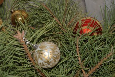 Merkez meydandaki Noel Ağacı