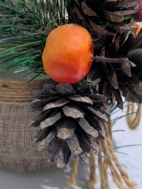 Koni (lat. Strobilus) değiştirilmiş bir çekim.