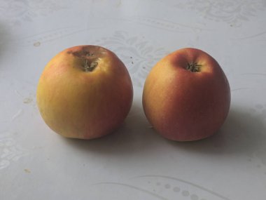 Büyük kırmızı bir elma olgunlaştı.