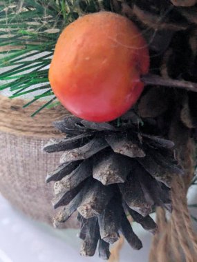 Koni (lat. Strobilus) değiştirilmiş bir çekim.