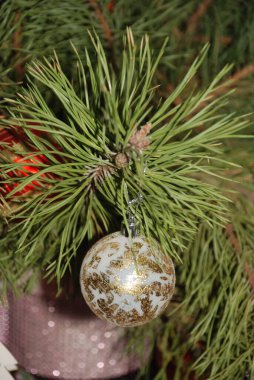 Merkez meydandaki Noel Ağacı