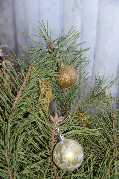 Merkez meydandaki Noel Ağacı