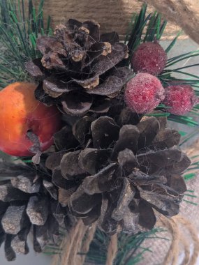 Koni (lat. Strobilus) değiştirilmiş bir çekim.