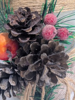 Koni (lat. Strobilus) değiştirilmiş bir çekim.