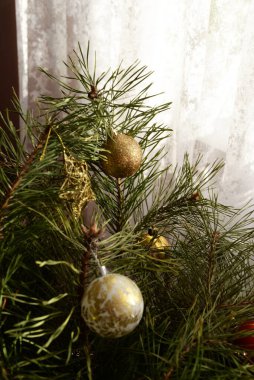 Merkez meydandaki Noel Ağacı