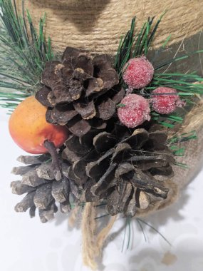 Koni (lat. Strobilus) değiştirilmiş bir çekim.