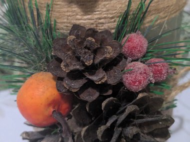 Koni (lat. Strobilus) değiştirilmiş bir çekim.