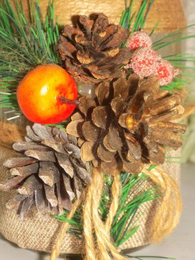 Koni (lat. Strobilus) değiştirilmiş bir çekim.