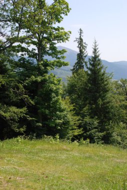 Sessiz köşe güzel doğa