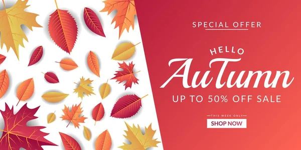 Modèle Fond Vente Automne Design Décoré Avec Des Feuilles Colorées — Image vectorielle