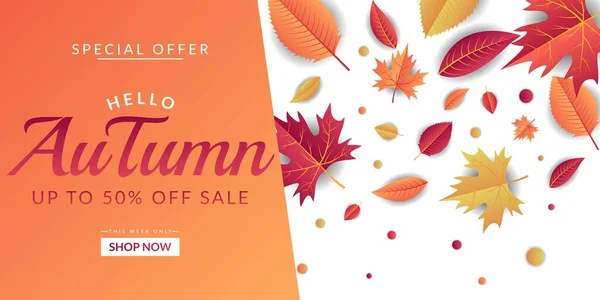 Modèle Fond Vente Automne Design Décoré Avec Des Feuilles Colorées — Image vectorielle