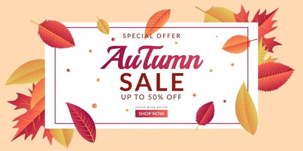 Modèle Fond Vente Automne Design Décoré Avec Des Feuilles Colorées — Image vectorielle