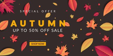 Renkli yapraklı sonbahar indirimi arka plan tasarımı. Pankart, poster, broşür, reklam vs. için çok uygun..