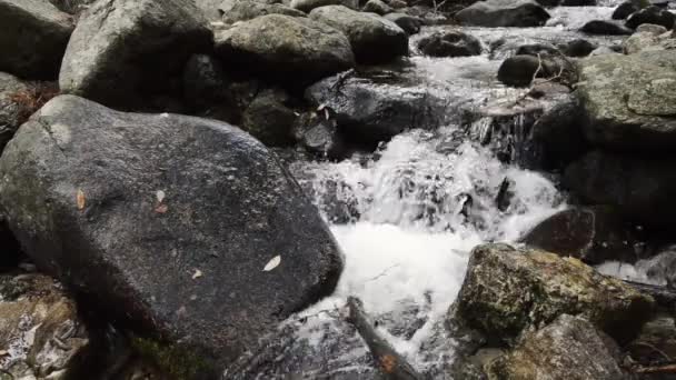 Water stream in the mountain — Stock video