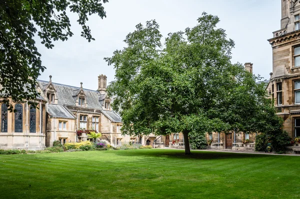 Binnenplaats van het College in Cambridge — Stockfoto