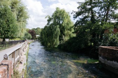 Nehirli şehir parkı