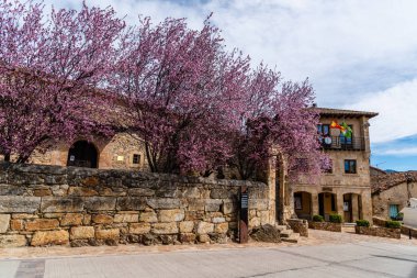 Bahar zamanı kilise ve Horcajuelo de la Sierra belediye binasının manzarası.