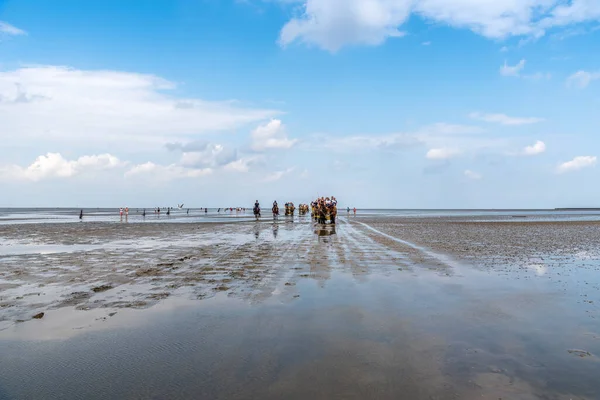 Пляж Куксхавен во время отлива — стоковое фото