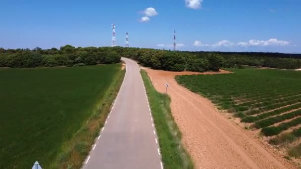 Antenne stradali e di telecomunicazione rurali alla fine di una strada in mezzo a campi di lavanda — Video Stock