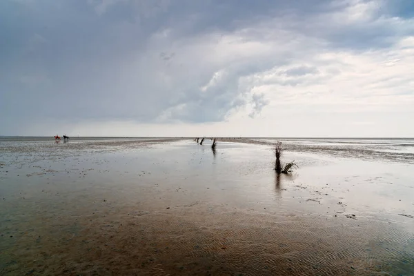 Спокойный и спокойный морской пейзаж на пляже во время отлива в Ваттовом море — стоковое фото