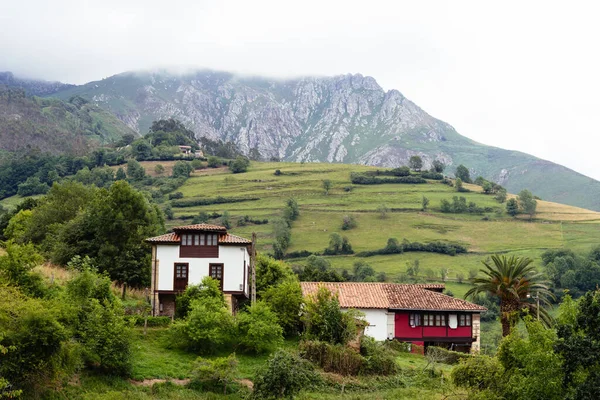 Scénický pohled na údolí v Asturii s tradičními farmářskými budovami a zelenými loukami za mlhavého dne — Stock fotografie