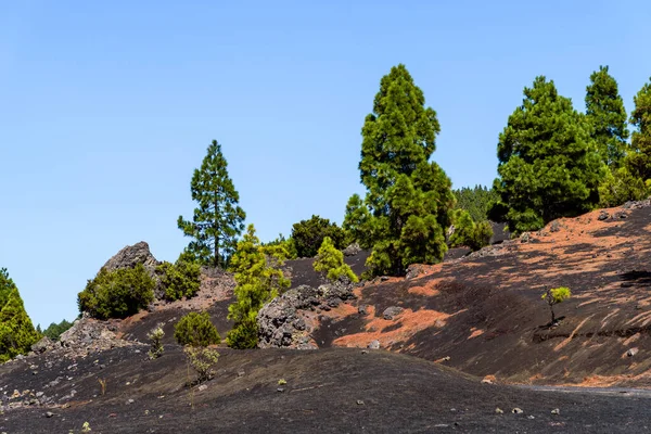 National Park of Caldera de Taburiente from Llano del Jable Astronomical Viewpoint. Volcano of San Juan and Cabeza de Vaca — Stock Photo, Image