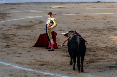 Arenas de San Pedro, İspanya - 18 Ekim 2025: Matador bir koridor sırasında arenada kırmızı bir muleta ile boğaya karşı karşıya. Cesar Jimenez