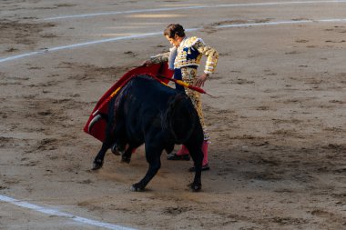 Arenas de San Pedro, İspanya - 18 Ekim 2025: Matador bir koridor sırasında arenada kırmızı bir muleta ile boğaya karşı karşıya. Cesar Jimenez