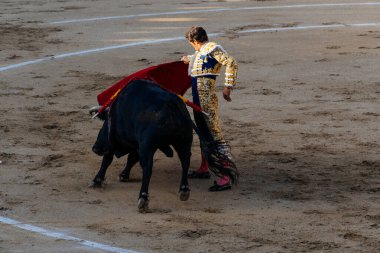 Arenas de San Pedro, İspanya - 18 Ekim 2025: Matador bir koridor sırasında arenada kırmızı bir muleta ile boğaya karşı karşıya. Cesar Jimenez