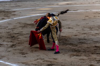 Arenas de San Pedro, İspanya - 18 Ekim 2025: Matador bir koridor sırasında arenada kırmızı bir muleta ile boğaya karşı karşıya. Cesar Jimenez