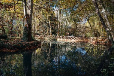 Huzurlu sahne, güzel Manastır de Piedra parkında yansıtıcı bir göletin üzerinde ahşap bir köprü sergiliyor.