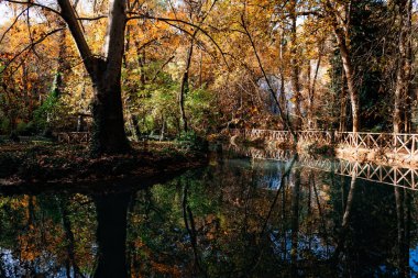 Huzurlu sahne, güzel Manastır de Piedra parkında yansıtıcı bir göletin üzerinde ahşap bir köprü sergiliyor.