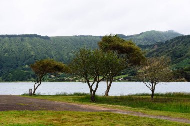Sao Miguel, Azores 'deki bir gölün kıyısındaki ağaçların manzarası. Arka planda yemyeşil dağlar var..