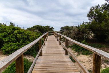 Resmedilmeye değer ahşap bir tahta yol canlı yeşil bitki örtüsünün içinden süzülerek sakin bir patika sunuyor. Sahne, Menorca 'da yumuşak ve bulutlu bir gökyüzünün altında geçiyor..