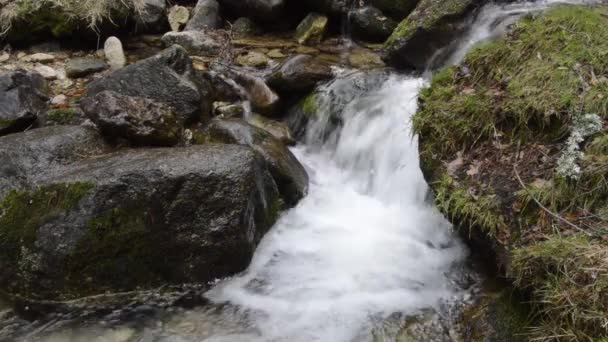 Cours d'eau avec de l'eau coulant sur des pierres dans la montagne 