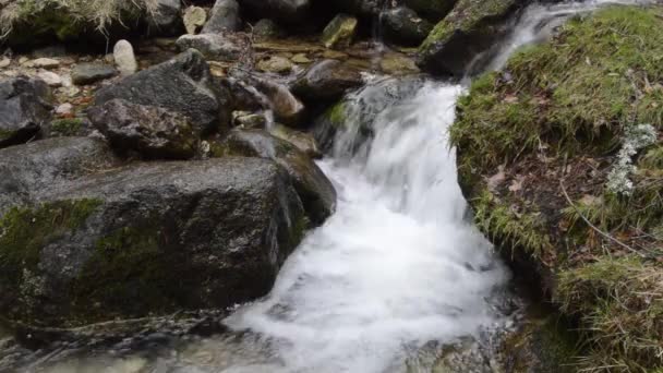 Fluxo com água correndo sobre pedras na montanha — Vídeo de Stock