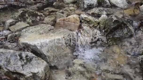 Imagens do fluxo de água da montanha — Vídeo de Stock