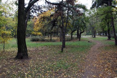 Sonbahar parkında yollar
